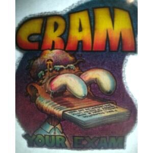 Cram Your Exam Screamin Gleamin Glitter Iron-On Decal Donruss Retro Vintage 70's